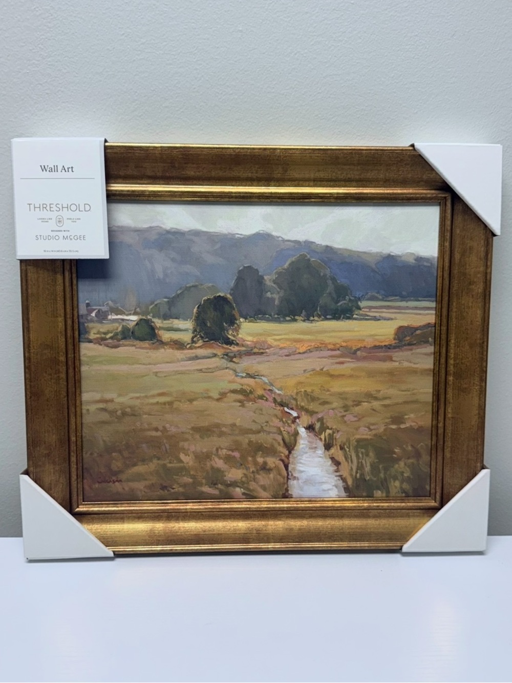 16" x 14" Summer Pasture Framed Wall Art Brass - Threshold designed Studio McGee